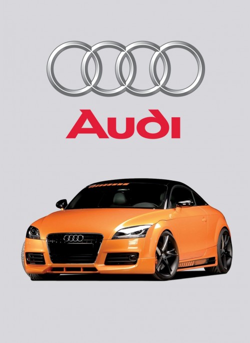 download AUDI TT MK2 TYP 8J workshop manual