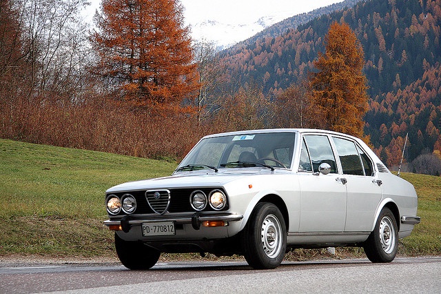 download Alfa Romeo Alfetta able workshop manual