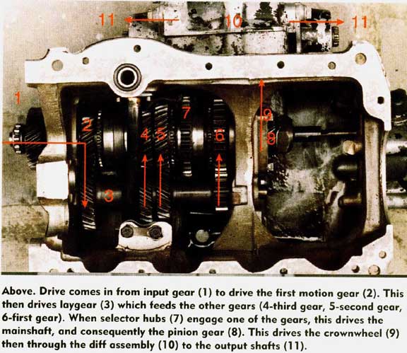 download Austin Mini NOW workshop manual