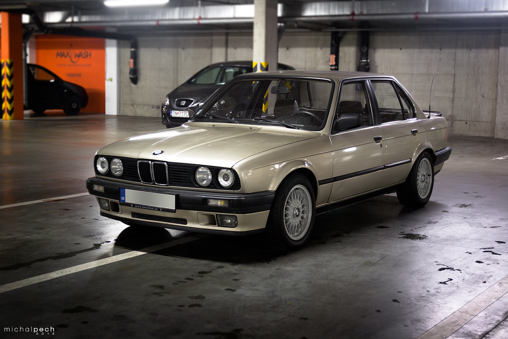 download BMW 3 Series E30 316i workshop manual