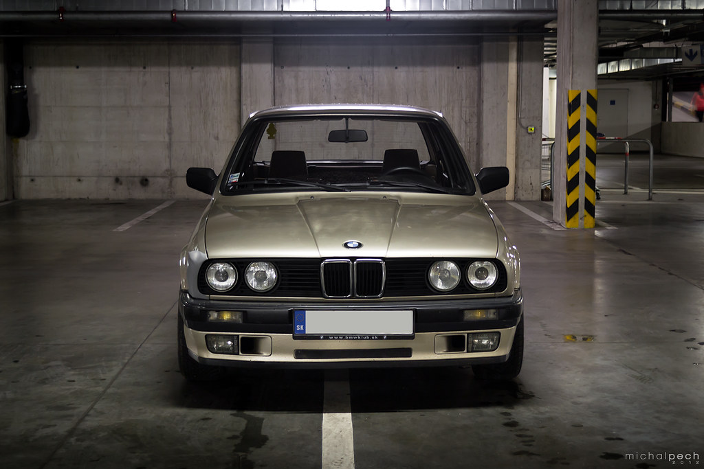download BMW 3 Series E30 316i workshop manual
