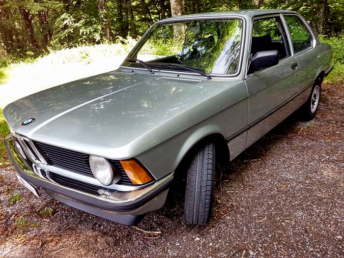 download BMW 316 workshop manual