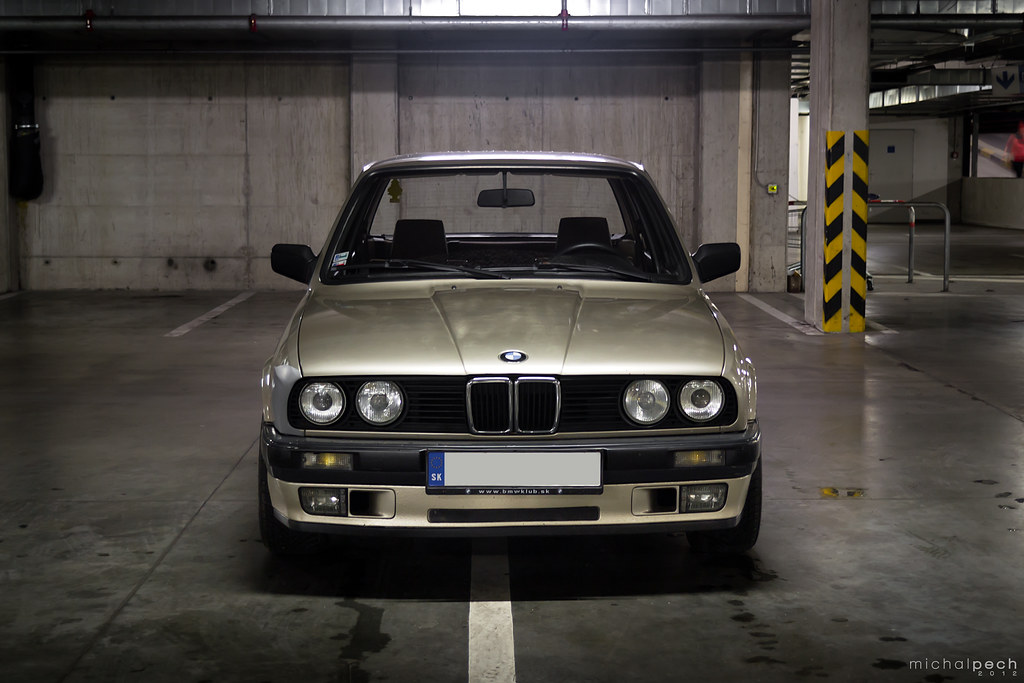 download BMW 316I E30 workshop manual