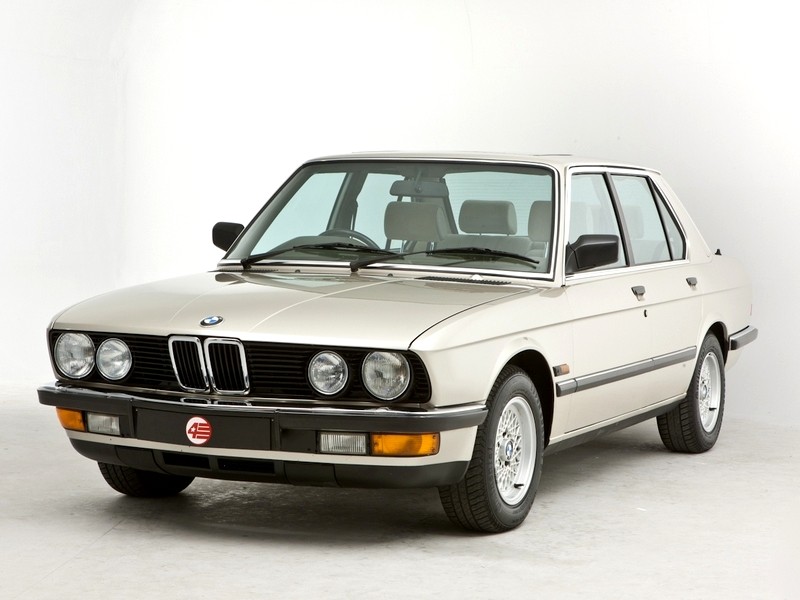 download BMW 5 Series E28 518 workshop manual