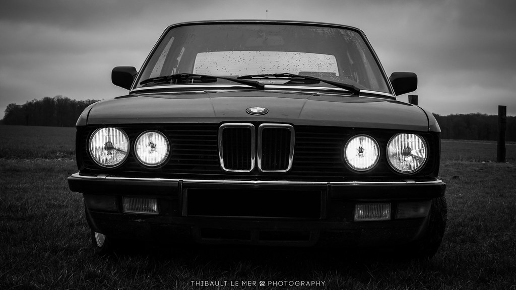 download BMW 528I E28 workshop manual