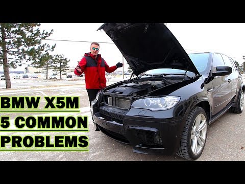 download BMW X5 M workshop manual