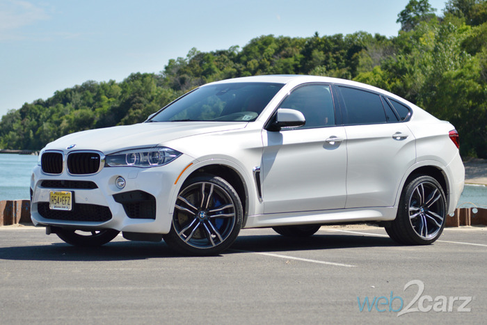 download BMW X6 M workshop manual