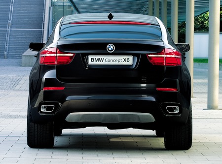 download BMW X6 workshop manual