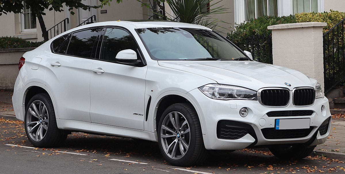 download BMW X6 workshop manual