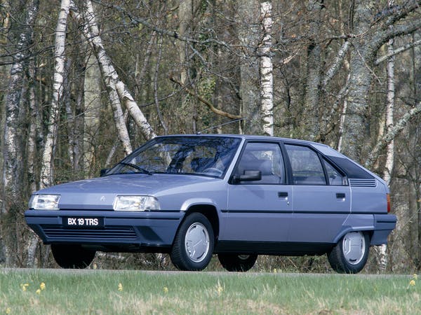 download CITROEN BX Engine workshop manual