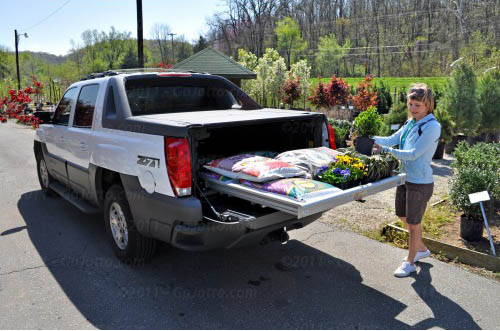 download Chevrolet Avalanche workshop manual