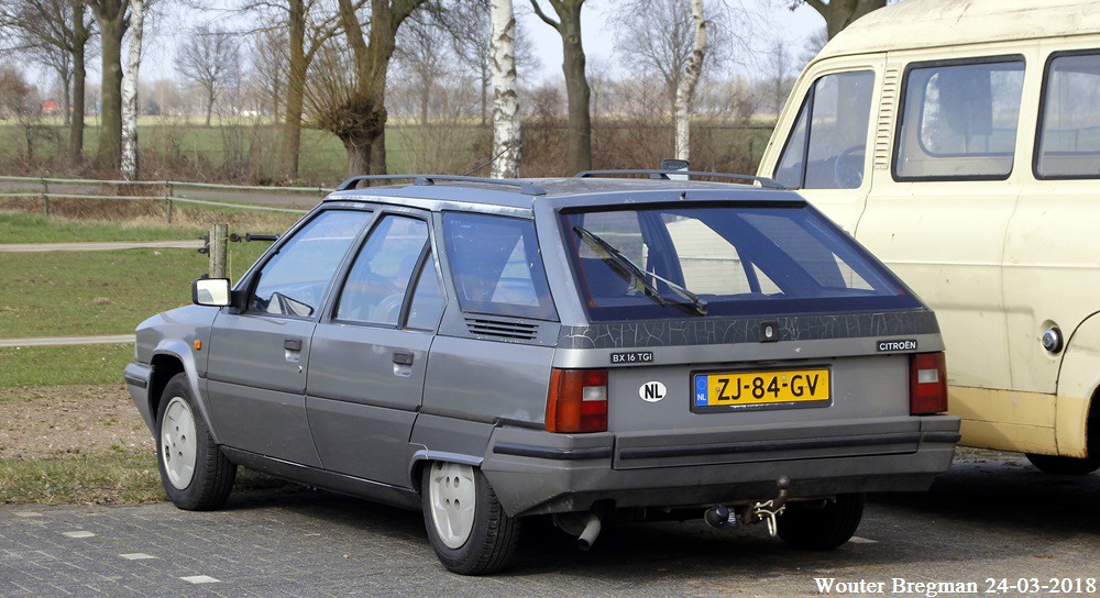 download Citroen BX Hatchback Estate workshop manual