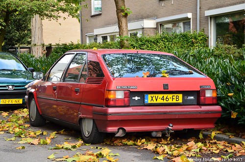 download Citroen BX workshop manual