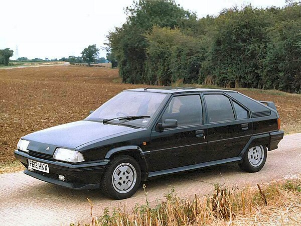 download Citroen BX workshop manual