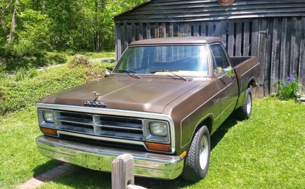 download Dodge D150 workshop manual