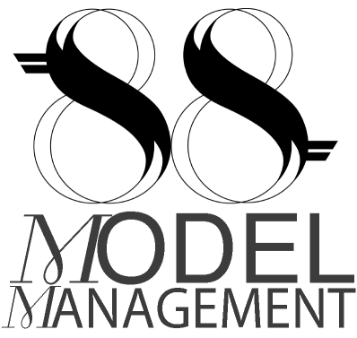 download EIGHTY EIGHT 88Models workshop manual