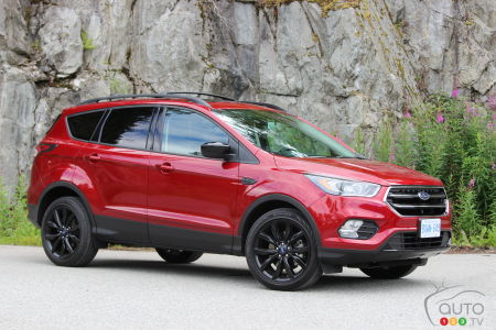 download FORD ESCAPE 2 able workshop manual