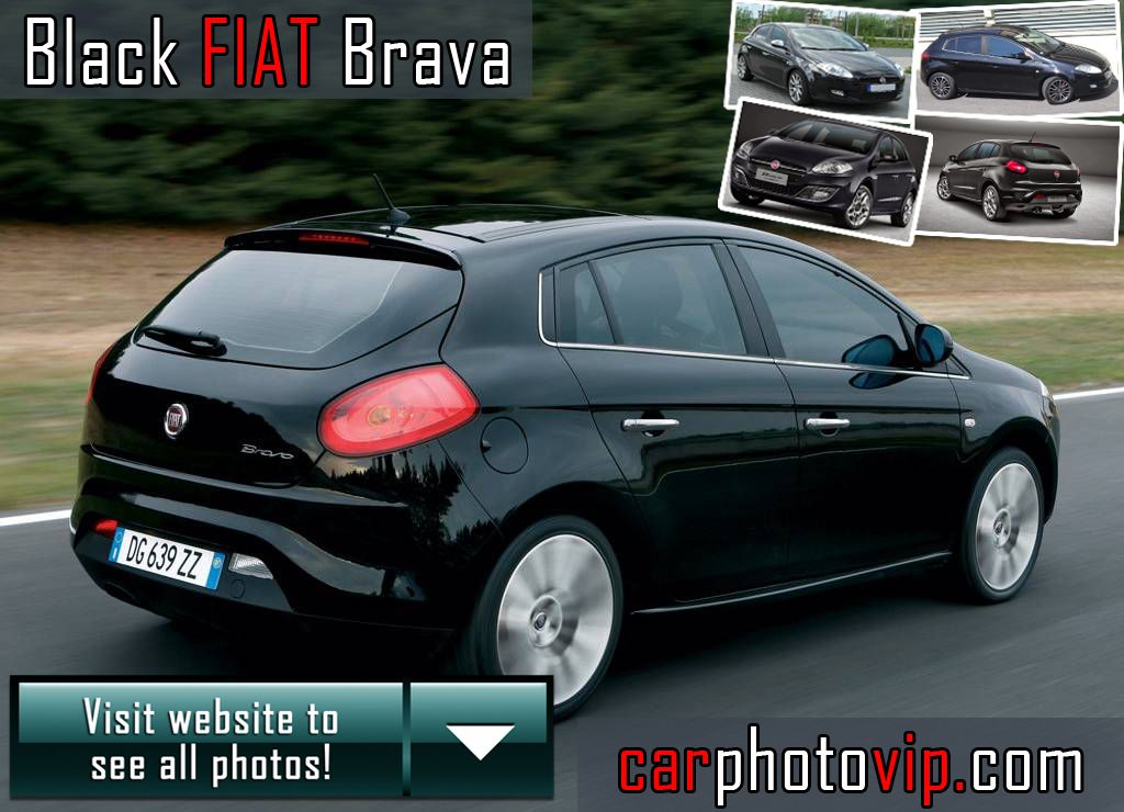 download Fiat Brava able workshop manual