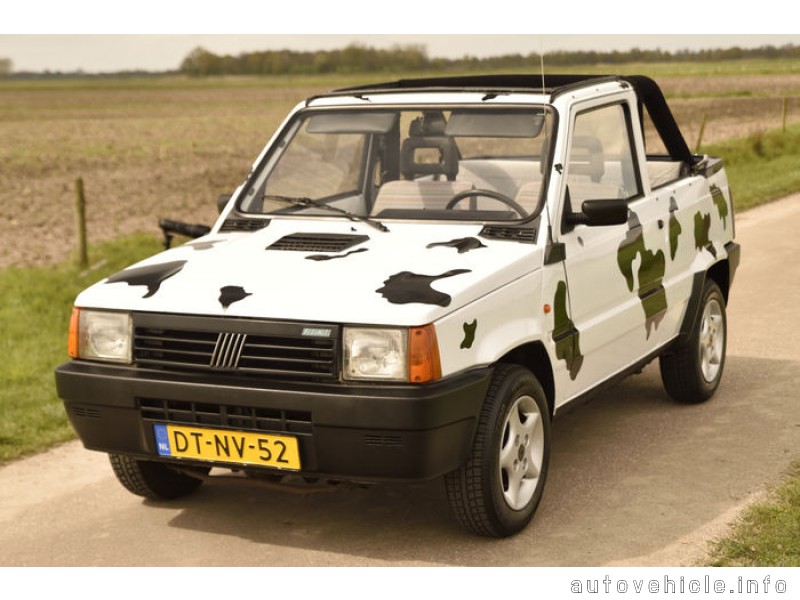 download Fiat Panda 769cc 903cc 999cc workshop manual