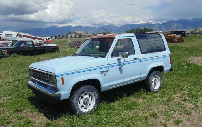 download Ford Bronco II workshop manual