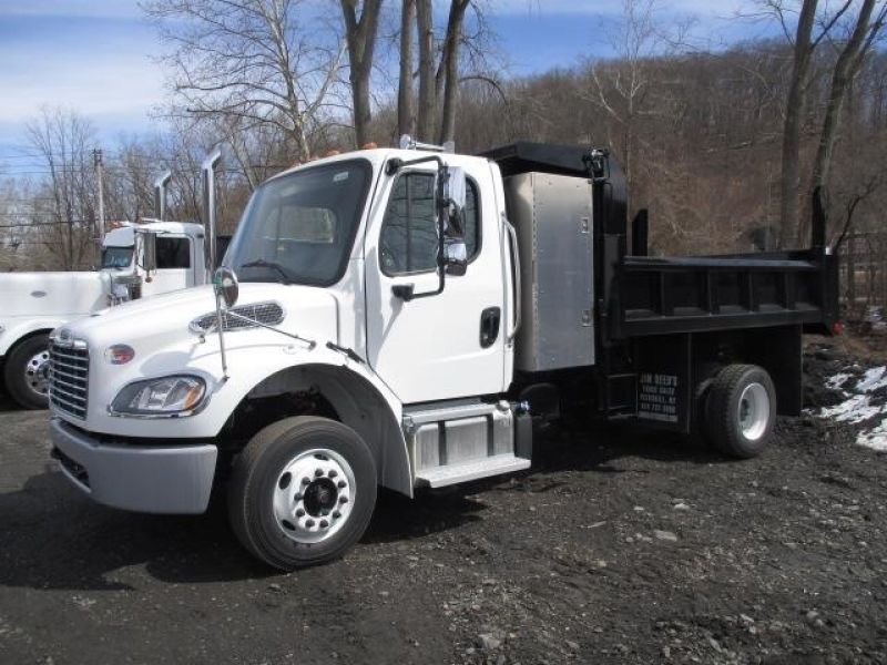 download Freightliner BUSINESS Class Trucks workshop manual