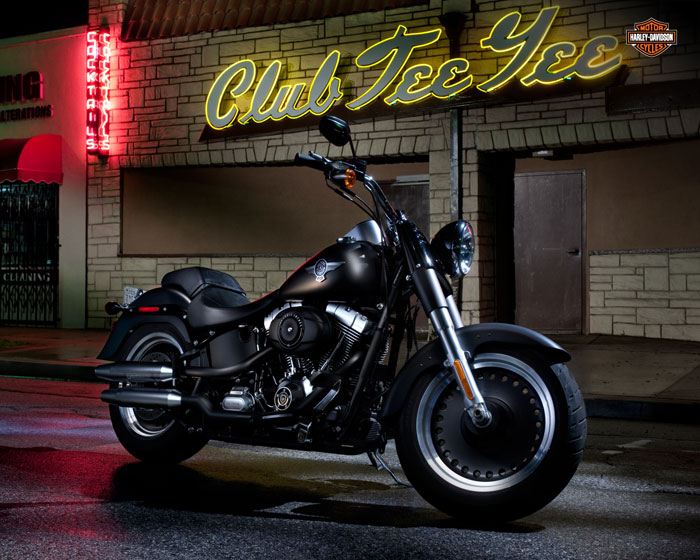 download Harley Davidson FLSTFB Fat Boy Lo Motorcycle able workshop manual