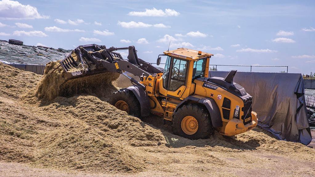 download Hyundai HL740 7S Wheel Loader able workshop manual