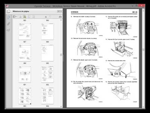download Hyundai Terracan 2.9 CRDI Engine workshop manual