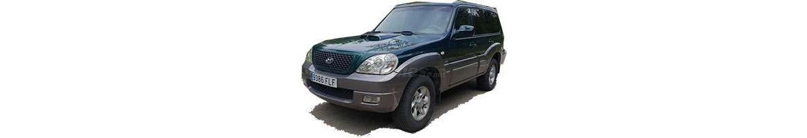 download Hyundai Terracan able workshop manual