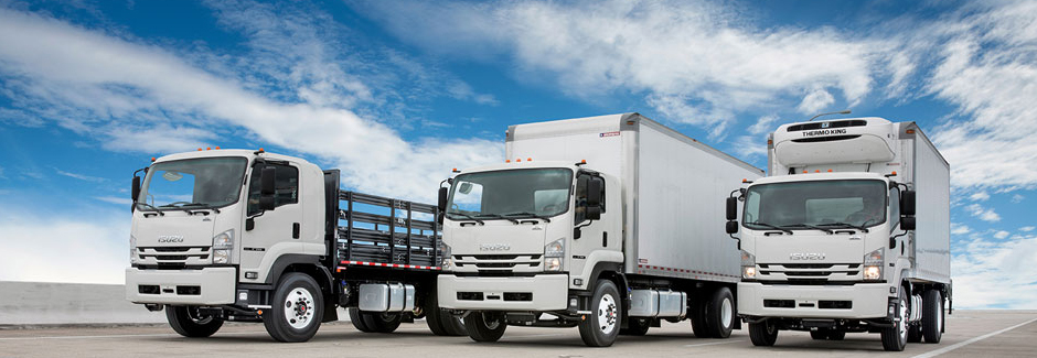 download Isuzu Commercial Truck FSR FTR FVR able workshop manual