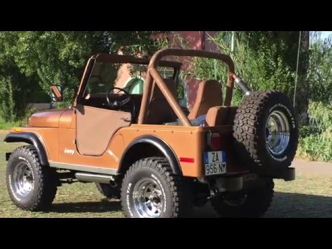 download Jeep CJ5 Renegade workshop manual