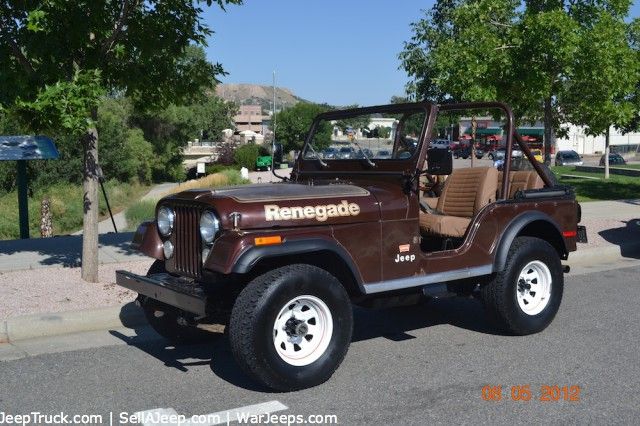 download Jeep CJ5 Renegade workshop manual