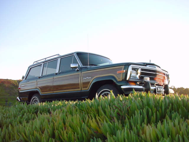 download Jeep Grand Wagoneer workshop manual