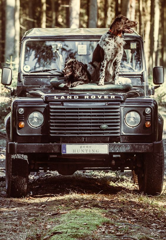 download Land Rover DEFENDER workshop manual