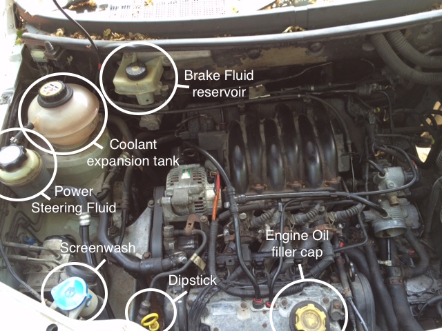 download Land Rover Freelander Td4 Engine workshop manual