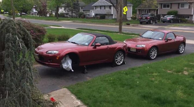 download MAZDA MX5 MIATA workshop manual