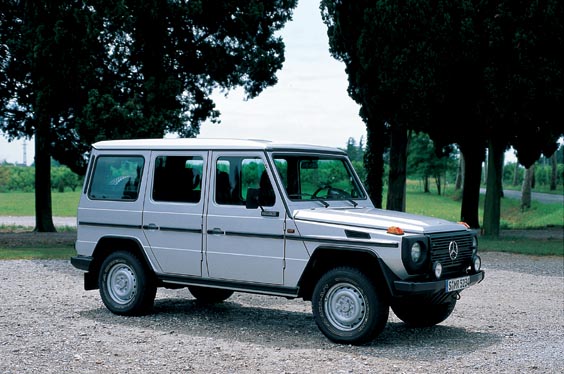 download MERCEDES BENZ G WAGEN 463 workshop manual