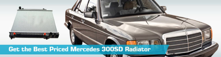 download Mercedes Benz 300SD workshop manual