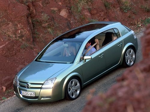 download Opel Signum able workshop manual