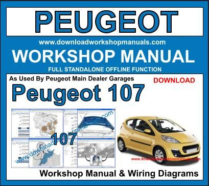 download PEUGEOT 1007 workshop manual