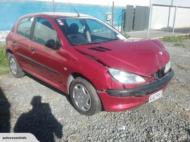 download PEUGEOT 206 workshop manual