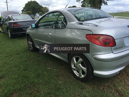 download PEUGEOT 206 workshop manual