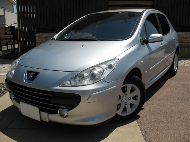 download PEUGEOT 307 workshop manual