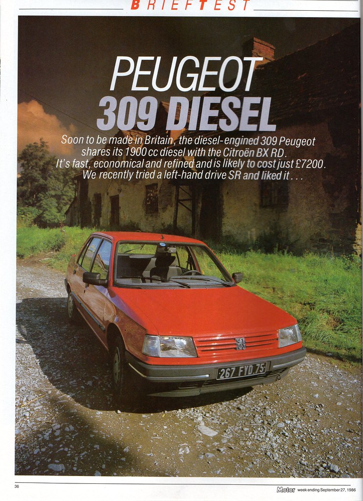 download PEUGEOT 309 workshop manual