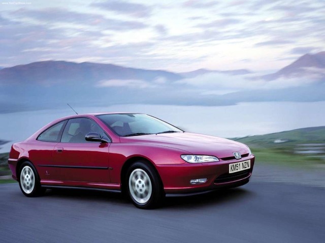 download PEUGEOT 406 COUPE able workshop manual