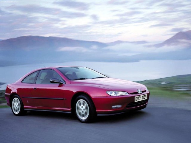 download PEUGEOT 406 COUPE able workshop manual