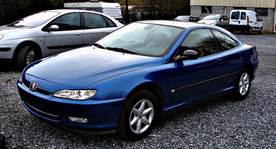 download PEUGEOT 406 COUPE able workshop manual