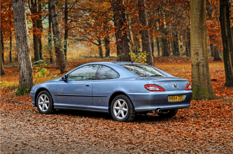 download PEUGEOT 406 COUPE workshop manual