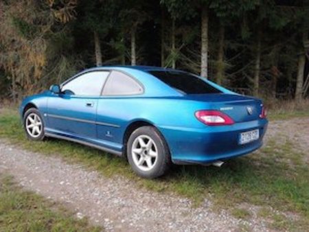 download PEUGEOT 406 COUPE workshop manual