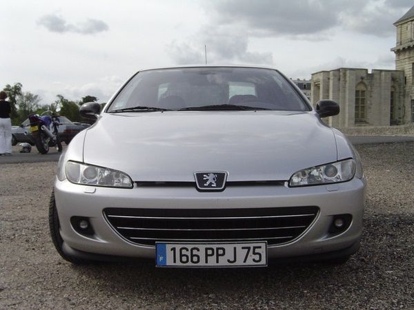 download PEUGEOT 406 workshop manual